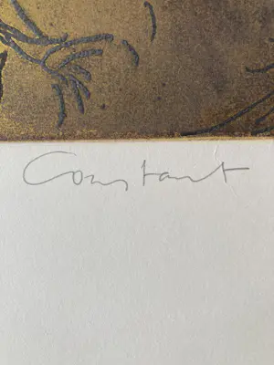 Constant - Dieren kopen? Bied vanaf 45!