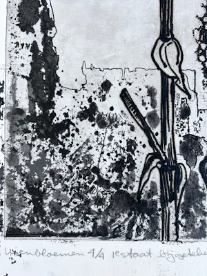 Jan Bernard Meinen - Uienbloemen kopen? Bied vanaf 25!