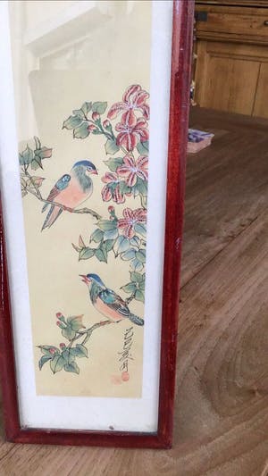 Niet of onleesbaar gesigneerd - Paradijsvogels kopen? Bied vanaf 1!