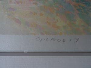 Reinoud Kuipers - Het Schelpenpad kopen? Bied vanaf 20!