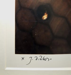 Jan Dibbets - Palau Güell, Barcelona, foto (mooi ingelijst) kopen? Bied vanaf 995!