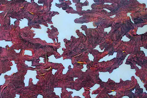 Ad van Riel - Zonder titel (16/1) kopen? Bied vanaf 125!