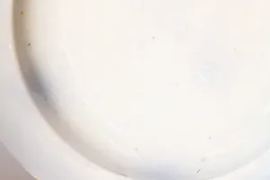 Firma Regout & Co - Persian kopen? Bied vanaf 75!