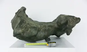 Ruudt Wackers - Beeld van papier maché, Paard kopen? Bied vanaf 200!