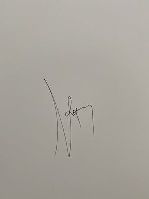 Koen Vanmechelen - Fighter kopen? Bied vanaf 400!