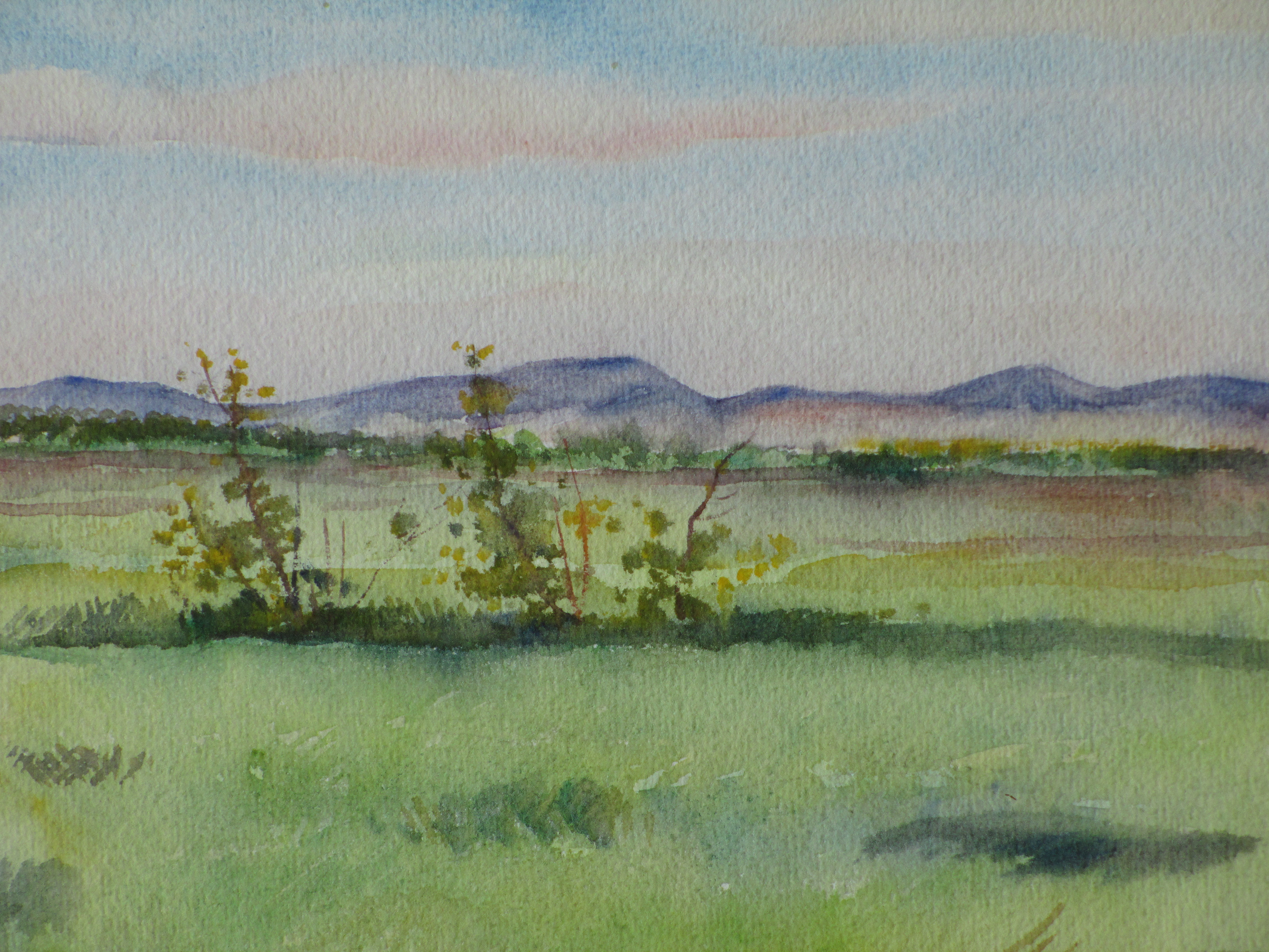 Han Krug - Witte Duinen Renesse - Aquarel 1940 kopen? Bied vanaf 20!