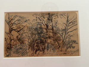 Erasmus Herman van Dulmen Krumpelman - Boomengroep te Zeegse kopen? Bied vanaf 25!