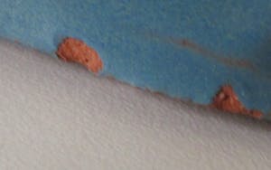 Wim Harzing - Blauwe geglazuurde aardewerken Patronaatstegel uitgevoerd bij de Russel Tiglia kopen? Bied vanaf 28!