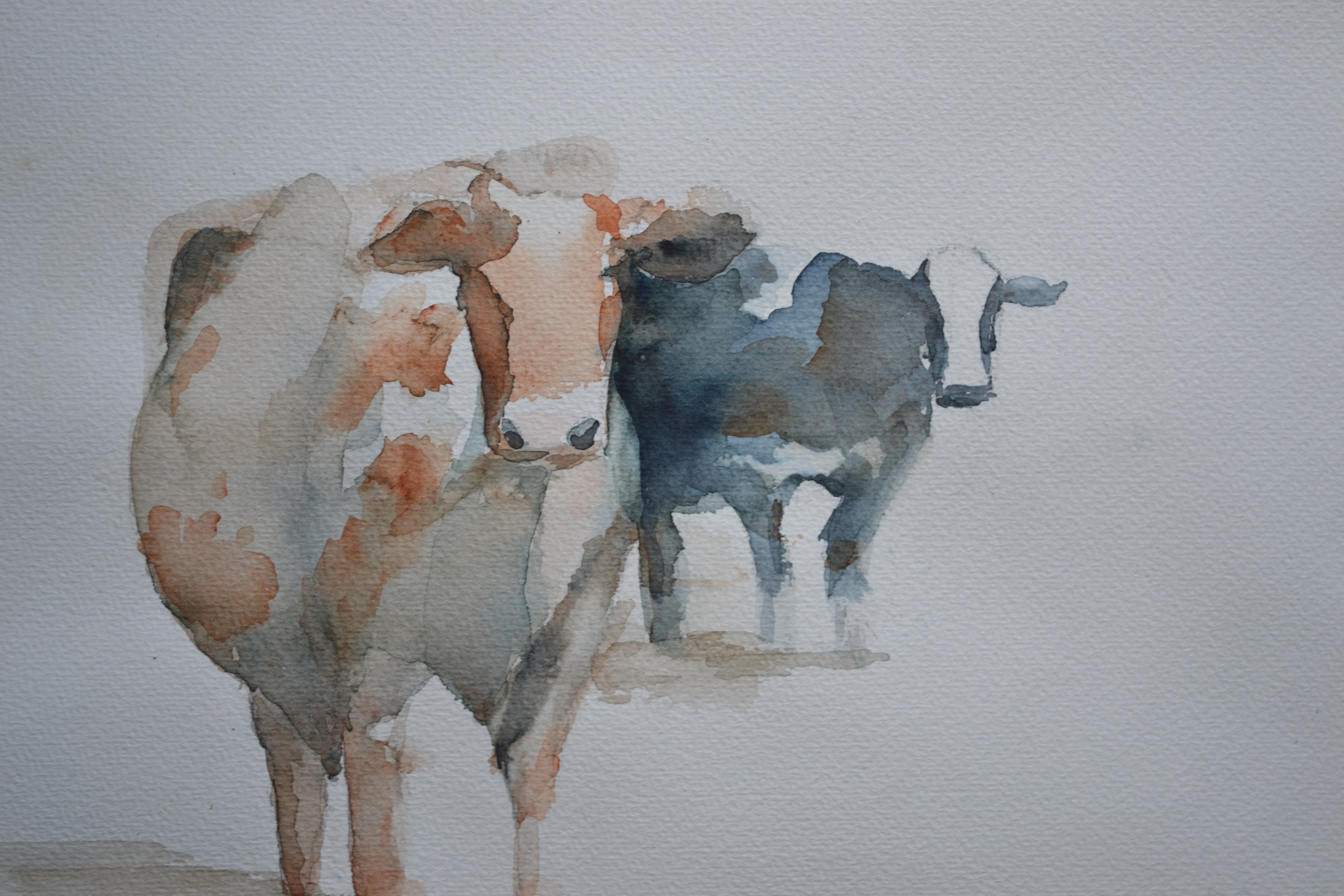 Niet of onleesbaar gesigneerd - Aquarel - Koeien kopen? Bied vanaf 1!