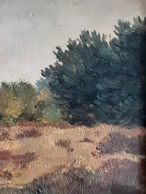 Jan A. Louwers - Loonse en Drunense duinen kopen? Bied vanaf 70!