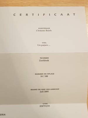 Clemens Briels - Un Pajaro Extraño kopen? Bied vanaf 25!