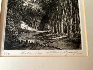 Jan van Rijsewijk - "Veluwe" kopen? Bied vanaf 35!