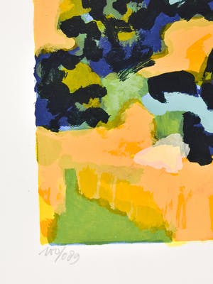 Willem Brauck - Les couleurs de Provence kopen? Bied vanaf 25!