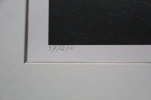 Carel Willink - Litho: De eeuwige schreeuw (keurig ingelijst, in zeer goede staat) kopen? Bied vanaf 595!