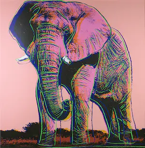 Andy Warhol - African Elephant uit de serie Endangered Species - Ingelijst (Groot) kopen? Bied vanaf 1!