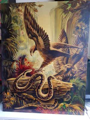 Willem van de Walle - Vogel met slang verkocht voor € 300!