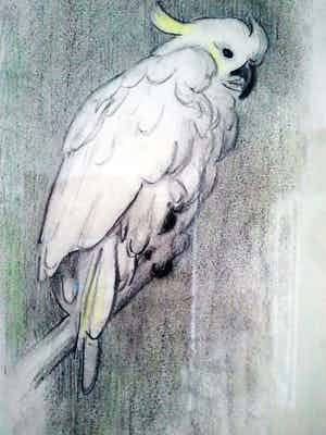 Engelien Reitsma-Valenca - kakatoe verkocht voor € 60!