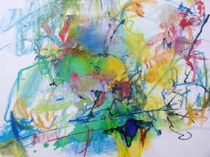 Tino Lintelo - Papegaai verkocht voor € 65!