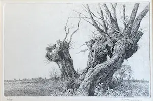 Frans Manders - Landschap met treurwillig kaufen? Bieten Sie von 135!