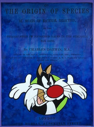 Jan Bollaert - Gemengde techniek op board, Origin of Species Blue (Groot) kopen? Bied vanaf 1!