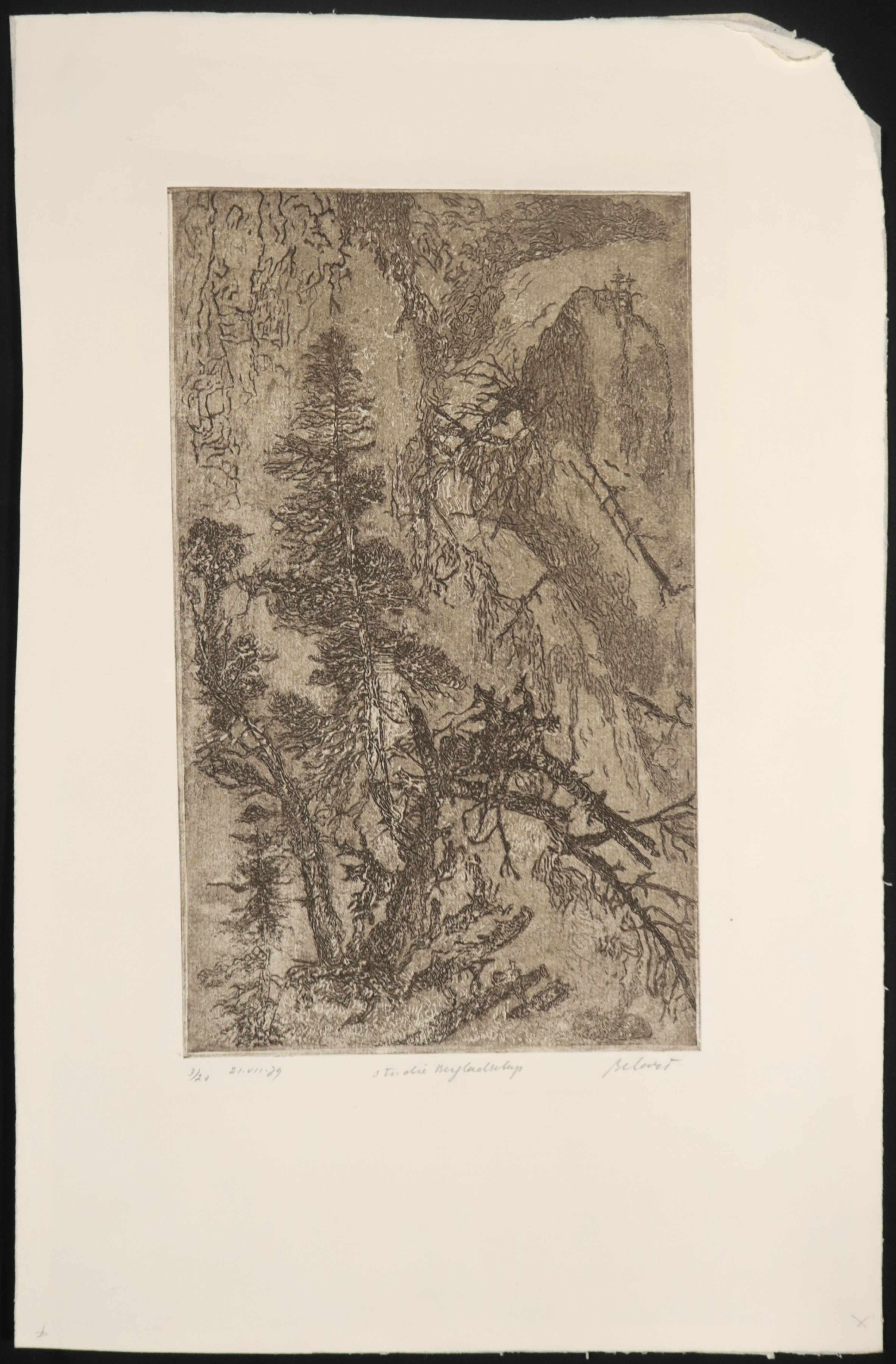 Gerard Bellaart - Lotje (B) met 5 etsen op papier kopen? Bied vanaf 1!