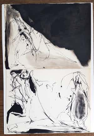 Jacqueline de Jong - Twee handgesigneerde tekeningen verkocht voor € 350!