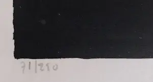 Robert Bruyninckx - ‘’Bomen’’ kopen? Bied vanaf 160!