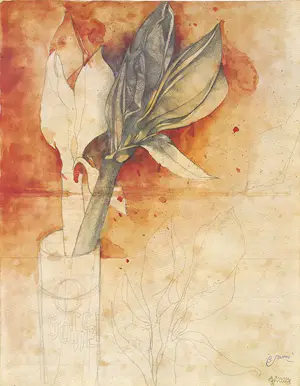 Bruno Bruni - Kleurenoffset-litho AMARYLLIS Handgesigneerd kopen? Bied vanaf 49!