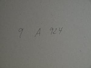 Paul Huf - Foto , Flowers : Gele Tulpen – gesigneerd & ingelijst - 1984 kopen? Bied vanaf 1!