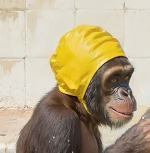 Mr Strange - Waterspelletjes kopen? Bied vanaf 80!