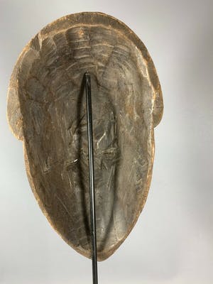 Pende - 210125 - African deformed nose mask from the Pende - Congo. kopen? Bied vanaf 35!