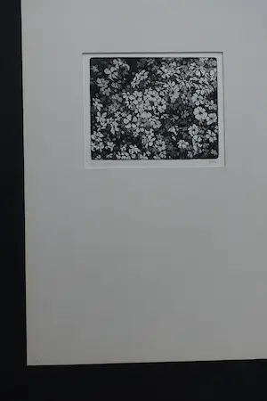 Paulien Wittenrood - GIPSKRUID kopen? Bied vanaf 35!