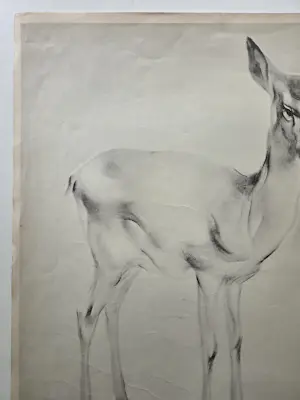 Han van Meegeren - Hert. Grote litho. kopen? Bied vanaf 59!