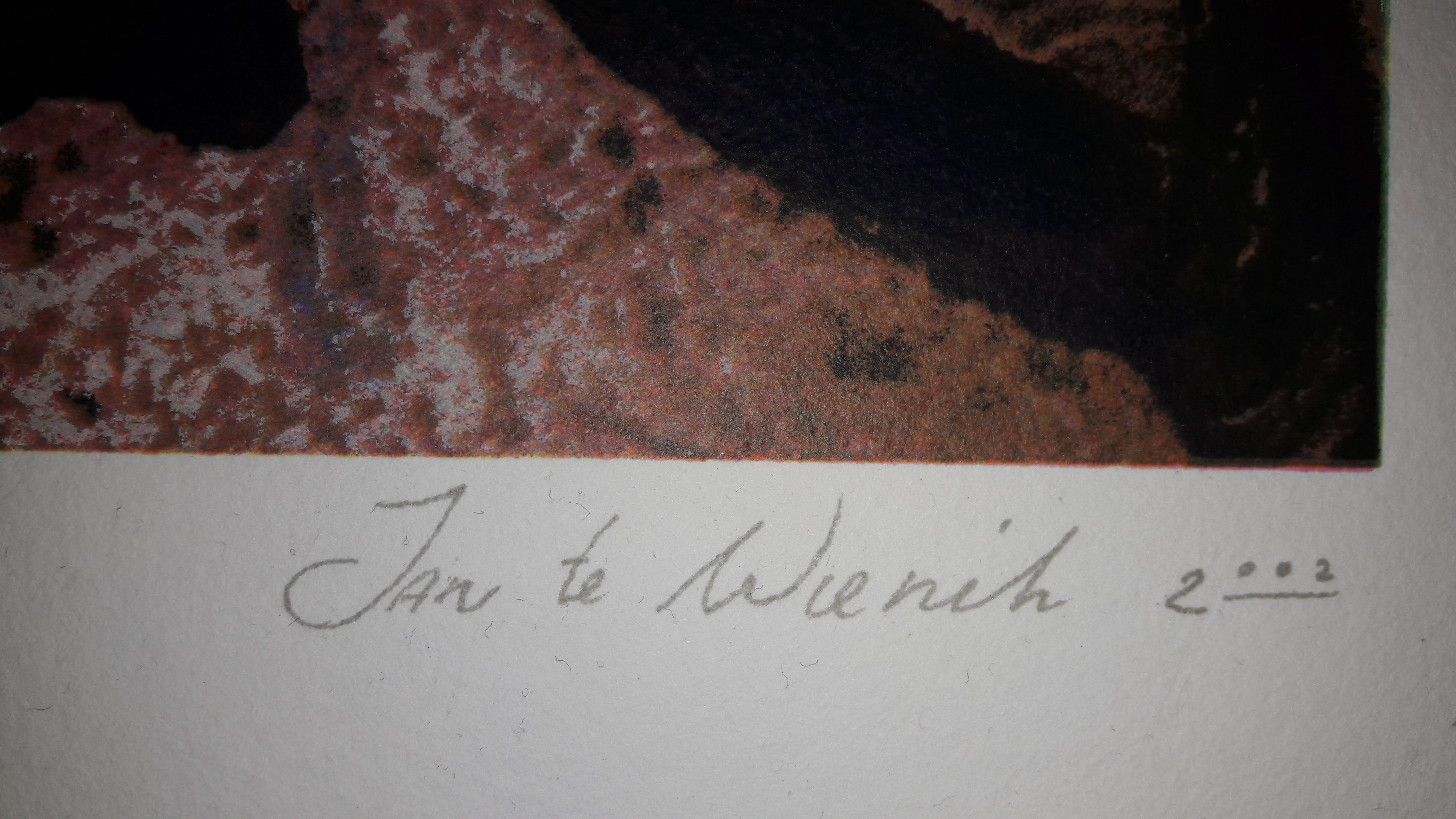 Jan te Wierik - Gesigneerde zeefdruk - 2002 !!! kopen? Bied vanaf 145!