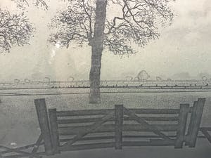 Hans Heijman - Polderlandschap kopen? Bied vanaf 1!