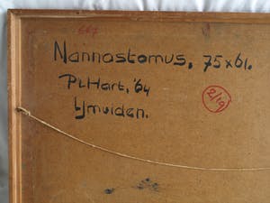 Pieter 't Hart - Ingelijst olieverf op board , “Nannostomus” (‘Potloodvissen’) – 1964 kopen? Bied vanaf 50!