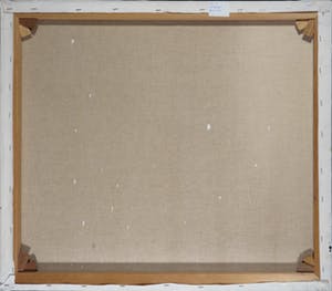 Pieter Haan - Acryl op doek, De Etalage no. 10 kopen? Bied vanaf 1!