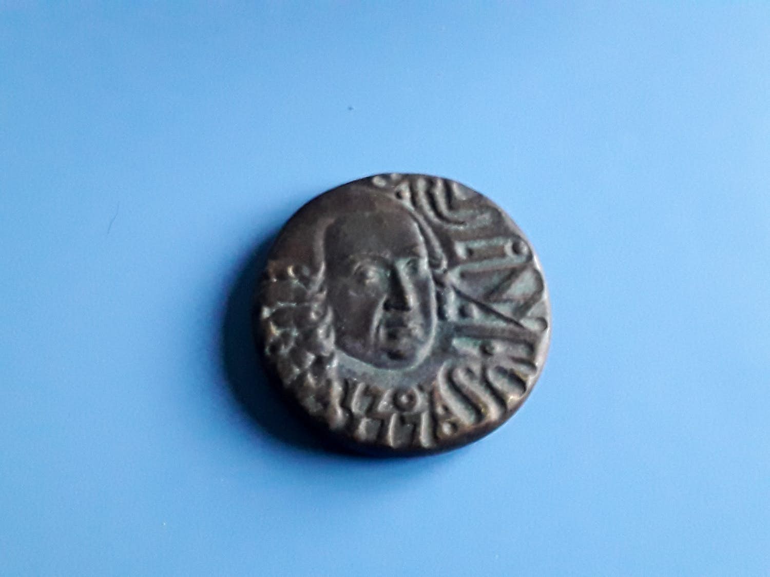 Christina Nijland - VPK Linnaeus brons kopen? Bied vanaf 50!