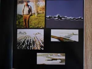 Bob Immink - Zeefdruk, Titel Varkensland bij watergang kopen? Bied vanaf 50!