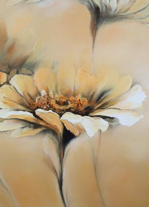 Elena Filatov - Acryl op doek, Apricot Summer II kopen? Bied vanaf 50!