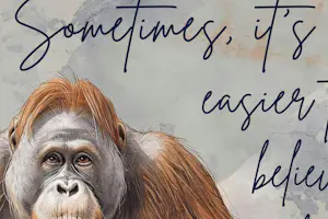 Dominic Rouse - 'De oorsprong van het schijnheilige' (2026) - GRATIS TARIEF kopen? Bied vanaf 150!