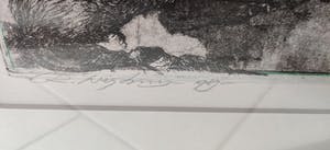 Rolf Weijburg - Ascension island wildlife kopen? Bied vanaf 35!