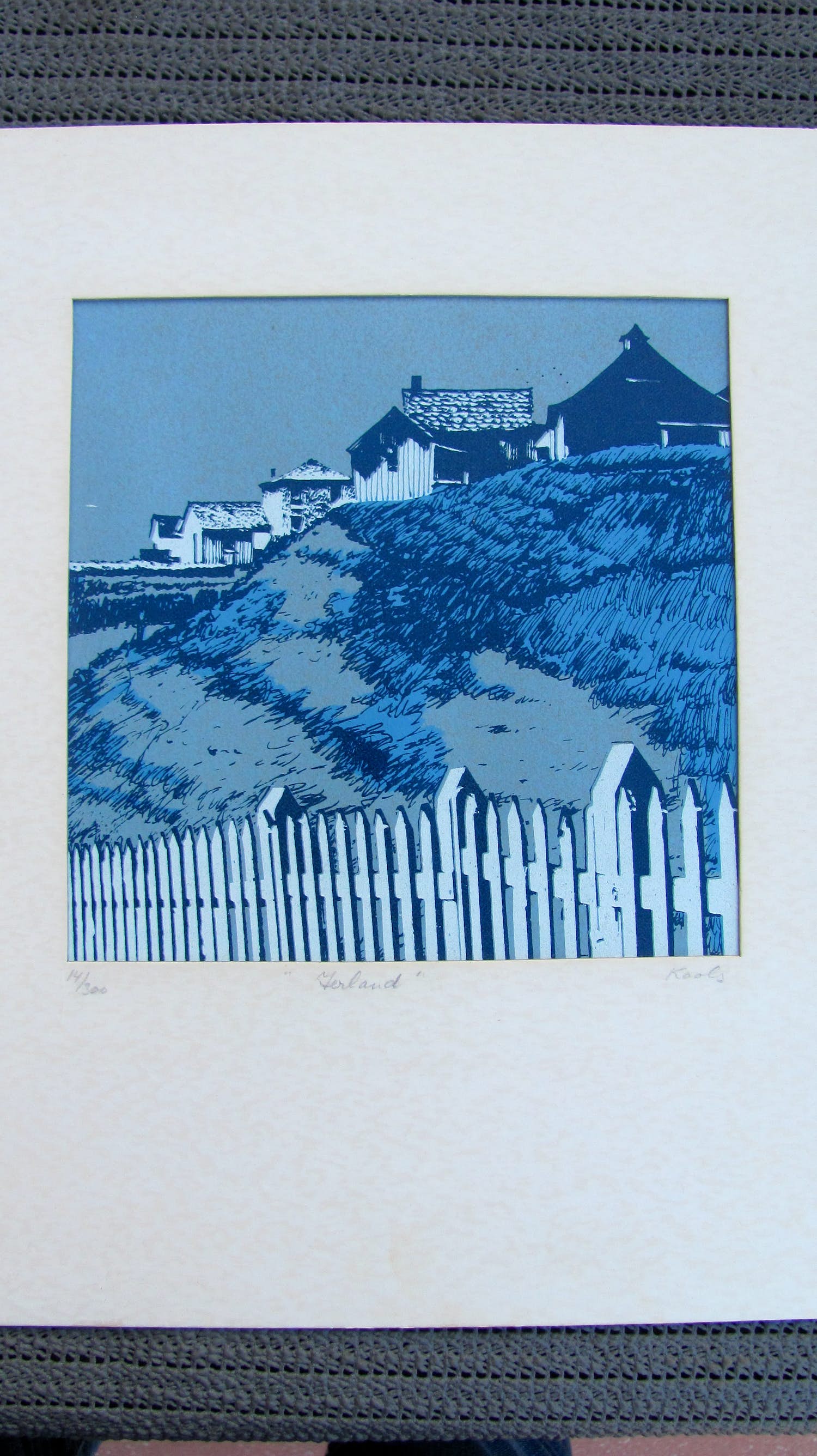 Leo Kools - Ierland kopen? Bied vanaf 15!