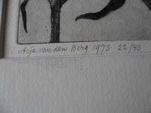 Arja van den Berg - Ingekleurde ets, Anjer kopen? Bied vanaf 20!