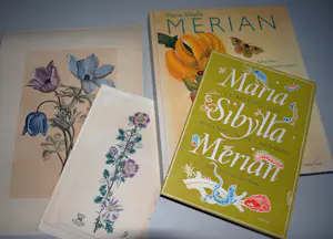 Maria Sybilla Merian - 2 boeken, 2 gravures (19e Eeuw) kaufen? Bieten Sie von 75!