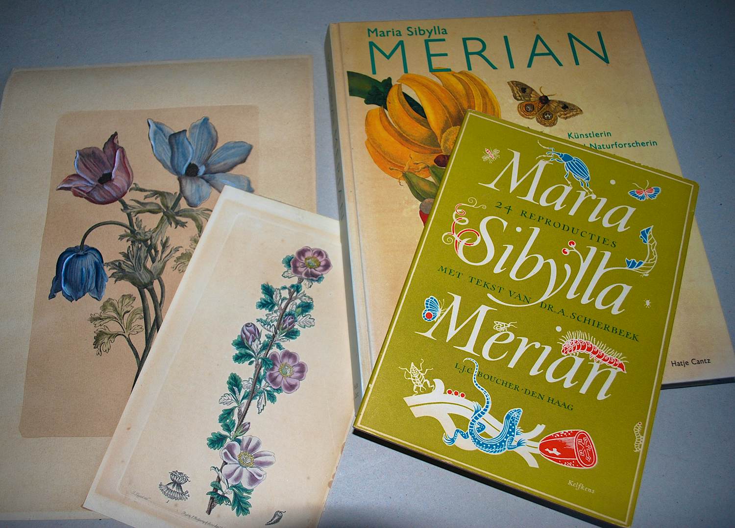 Maria Sybilla Merian - 2 boeken, 2 gravures (19e Eeuw) kopen? Bied vanaf 75!