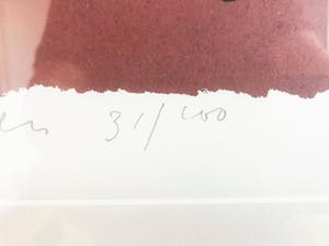 Clemens Briels - Zeefdruk, Nachtvlinders kopen? Bied vanaf 120!