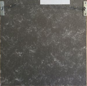 Osanne Nègre - "Sagittaire Idéal" (sterrenbeeld) | Litho - carborundum (ingelijst) kopen? Bied vanaf 49!