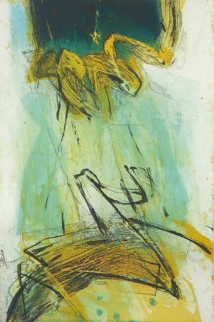 Hans Vredegoor - Kleurenets en aquatint, Cascatelle - Ingelijst kopen? Bied vanaf 1!