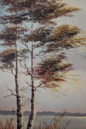 H. Hermans - zomers plasgezicht kopen? Bied vanaf 35!